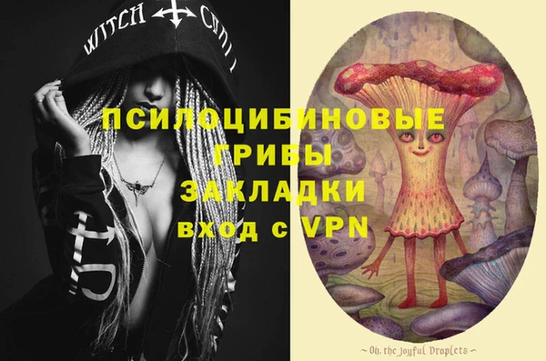 таблы Коряжма
