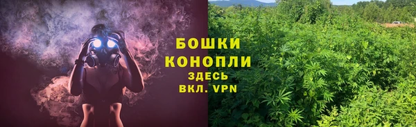 винт Костерёво