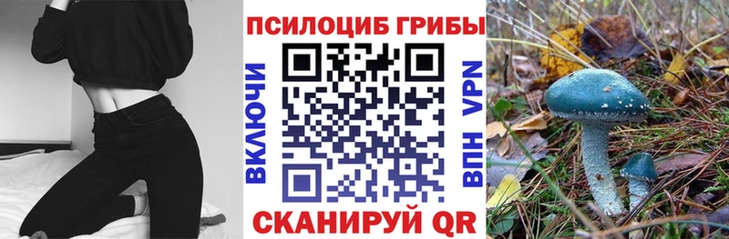 наркота Тутаев Псилоцибиновые грибы ЛСД