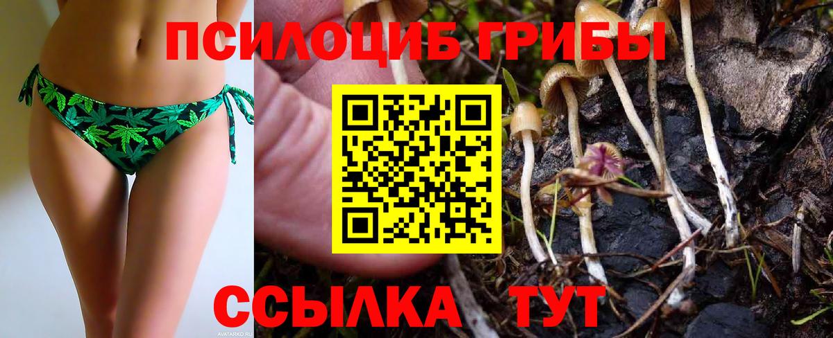 Псилоцибиновые грибы MAGIC MUSHROOMS  Вход с VPN  Тутаев  Псилоцибиновые грибы Cubensis 