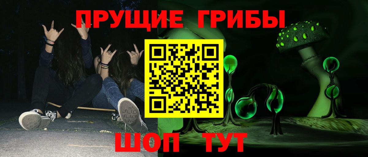 Псилоцибиновые грибы мицелий Тутаев